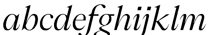 PPEikoItalic Regular Instance FONT