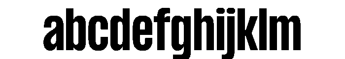 PPFormula CondensedBold Instance FONT