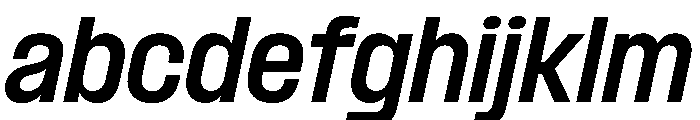 PPFormula SemiCondensedBoldItalic Instance FONT