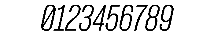 PPFormulaCondensed ExtralightItalic Instance Font OTHER CHARS