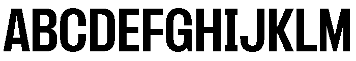 PPFormulaNarrow Bold Instance Font UPPERCASE