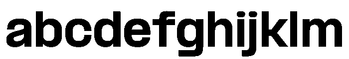 PPFormulaNormal Black Instance FONT