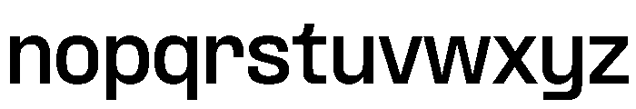 PPFormulaNormal Bold Instance Font LOWERCASE