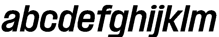 PPFormulaSemiCondensed BoldItalic Instance FONT