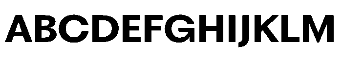 PPFragment SansBold Instance Font UPPERCASE
