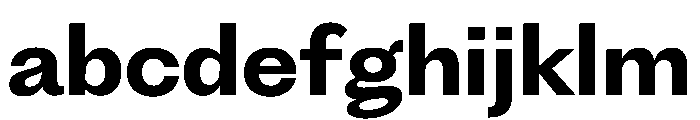 PPFragment SansBold Instance FONT
