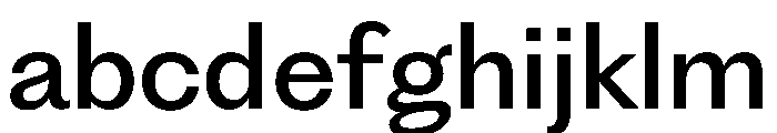 PPFragment SansMedium Instance FONT