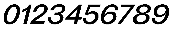 PPFragment SansMediumItalic Instance Font OTHER CHARS