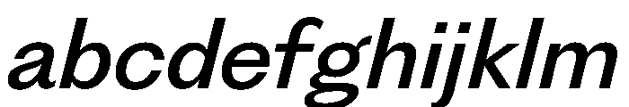 PPFragment SansMediumItalic Instance FONT