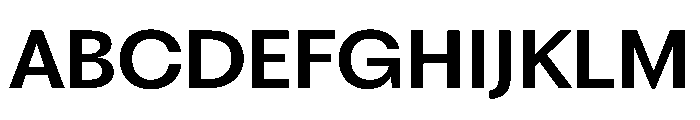 PPFragment SansSemiBold Instance Font UPPERCASE