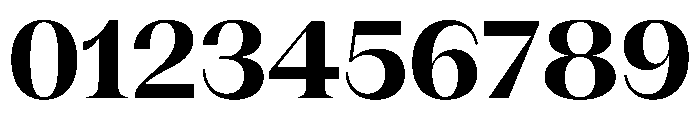 PPFragment SerifBold Instance Font OTHER CHARS