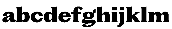 PPFragmentGlare Black Instance FONT
