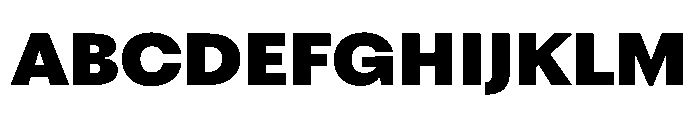 PPFragmentSans Black Instance Font UPPERCASE