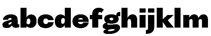 PPFragmentSans Black Instance FONT