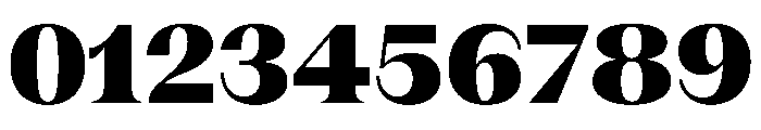 PPFragmentSerif Black Instance Font OTHER CHARS