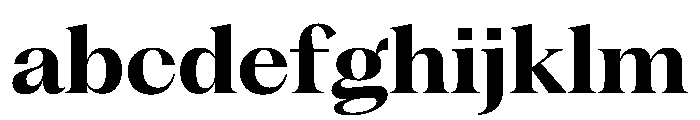 PPFragmentSerif Bold Instance FONT