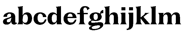 PPFragmentText Bold Instance FONT