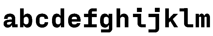 PPFraktionMono Black Instance FONT