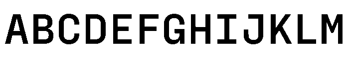 PPFraktionMono Bold Instance Font UPPERCASE