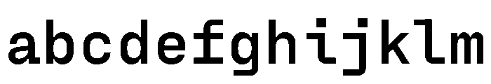 PPFraktionMono Bold Instance FONT