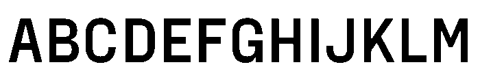 PPFraktionSans Bold Instance Font UPPERCASE