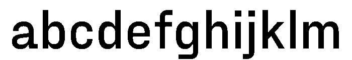 PPFraktionSans Semibold Instance FONT