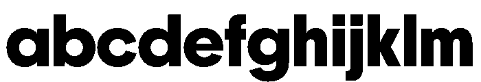 PPFrama Bold Instance FONT