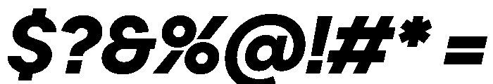 PPFrama BoldItalic Font OTHER CHARS