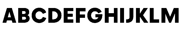 PPFramaText Bold Instance Font UPPERCASE