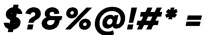 PPFramaText BoldItalic Instance Font OTHER CHARS