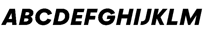 PPFramaText BoldItalic Instance Font UPPERCASE
