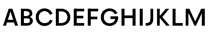 PPFramaText Medium Instance Font UPPERCASE