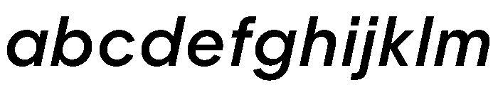 PPFramaText MediumItalic Instance FONT