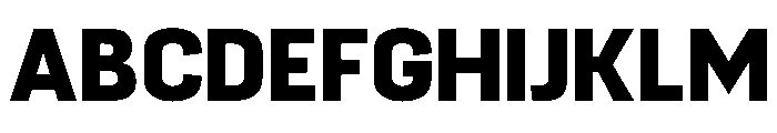PPFuji Bold Instance Font UPPERCASE