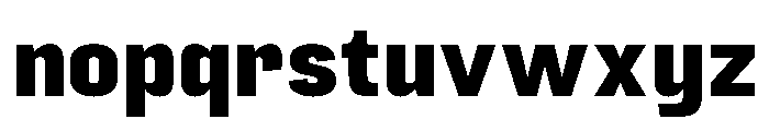 PPFuji Bold Instance Font LOWERCASE