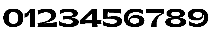PPGatwickJumbo Bold Instance Font OTHER CHARS