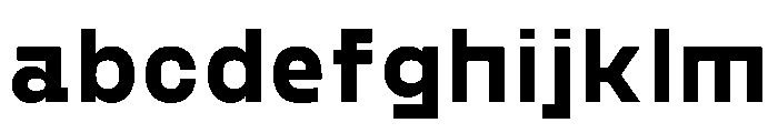 PPGoshaSans Bold Instance FONT