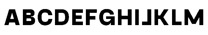 PPGoshaSans Ultrabold Instance Font UPPERCASE