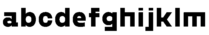 PPGoshaSans Ultrabold Instance FONT