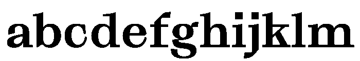 PPGrafier Bold Instance FONT
