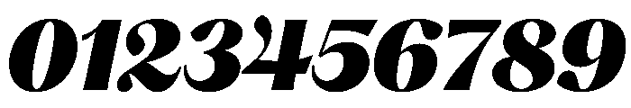 PPHatton BlackItalic Instance Font OTHER CHARS
