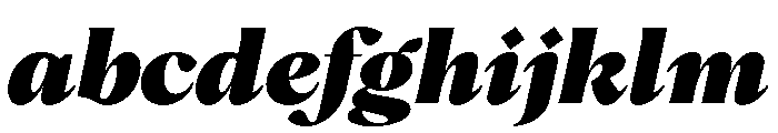 PPHatton BlackItalic Instance FONT