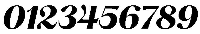 PPHatton BoldItalic Instance Font OTHER CHARS