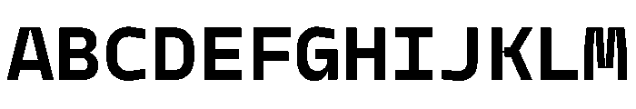 PPModelMono Bold Instance Font UPPERCASE