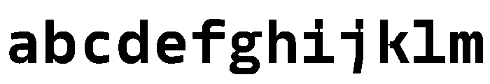 PPModelMono Bold Instance FONT