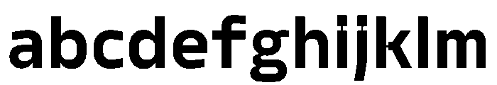 PPModelSans Bold Instance FONT