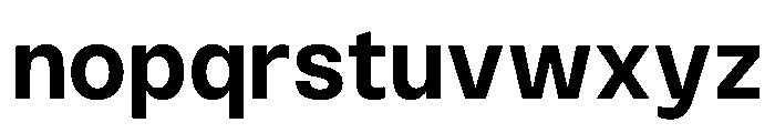 PPMonument Bold Instance Font LOWERCASE