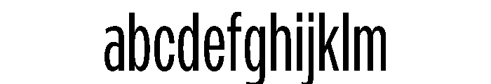 PPMonument CondensedBook Instance FONT