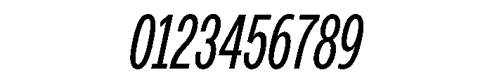 PPMonument CondensedItalicBook Instance 4b254294 Font OTHER CHARS