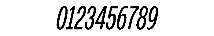 PPMonument CondensedItalicBook Instance Font OTHER CHARS